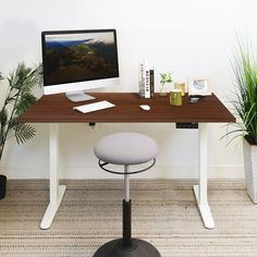 a computer monitor sitting on top of a wooden desk next to a potted plant