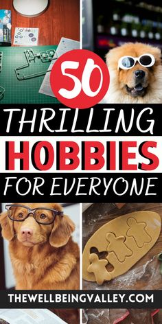 Looking for a new hobby to start? Check out this post for a list of 50 hobbies anybody can start today. Learning Process, Camping Experience