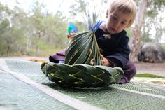 a little boy sitting on the ground with a plant in front of him and looking at it