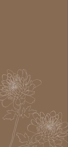 Neutral floral wallpaper Aesthetic Colours Wallpaper, Neutral Iphone Wallpaper Boho, Neutral Colours Background, Brown And Neutral Aesthetic, Brown Colour Aesthetic Wallpaper, Neutral Color Aesthetic Wallpaper, Brown Aesthetic Wallpaper Home Screen, Ios 16 Wallpaper Iphone Fall, Screen Lock Wallpaper Aesthetic