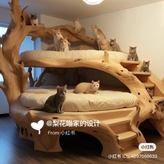 there are many cats sitting on top of the bed in this room, and one cat is looking at the camera