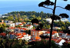 the city is surrounded by many trees and houses with red roofs, overlooking the ocean