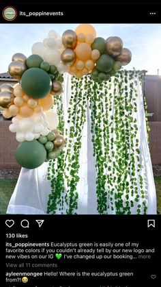 an image of balloons and greenery in the air