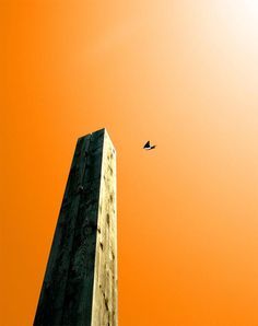 an orange sky with a bird flying in the distance and a tall building next to it