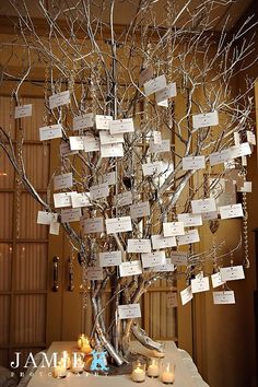 a tree with many cards attached to it and candles on the table next to it