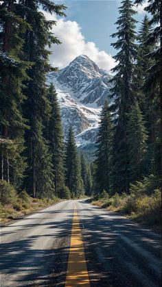 the road is lined with pine trees and tall mountains in the distance are snow - capped peaks