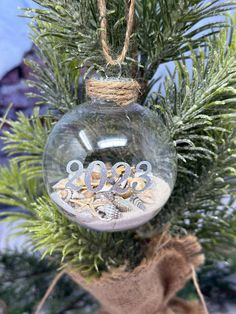 a glass ornament hanging from a tree with sand and shells in it's bottom