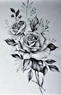 a drawing of a rose with leaves on it