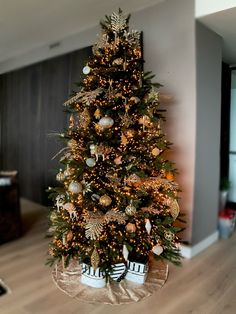 Christmas tree. Copper Christmas Tree Color Schemes, Christmas Tree Golden, Ideas For Small Home, Yuletide Decorations, Golden Christmas Tree, Christmas Tree Gold