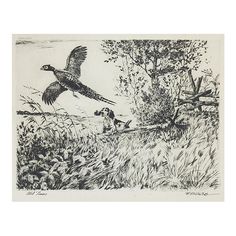 a black and white drawing of a bird flying over a dog in the grass next to a tree