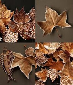 four different pictures of leaves with brown and white designs