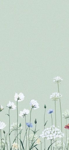 a bunch of white and blue flowers on a light green background with space for text