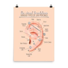 A comprehensive and well researched ear piercing infographic chart. The perfect gift for piercing enthusiasts or professionals, alike. Updated with difference in naming convention for piercings "Orbital" and "Outer Conch". Original listed here: https://shattertheelegance.etsy.com/listing/777146013 Museum-quality posters made on thick matte paper. Add a wonderful accent to your room and office with these posters that are sure to brighten any environment. * Paper thickness: 10.3 mil * Paper weight: 189 g/m² * Opacity: 94% * ISO brightness: 104% Ear Piercing Chart, Outer Conch, Ear Peircings, Ear Piercings Chart, Piercing Chart, Types Of Ear Piercings, Anti Tragus, Chart Infographic, Ear Piercing