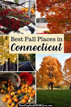 the best fall places in connecticut