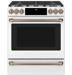 a white oven with gold trim and two burners on the front, and an oven door