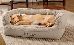 a dog laying on top of a bed in a living room