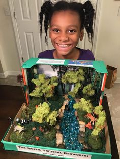 Rainforest Diorama, Elementary School Projects