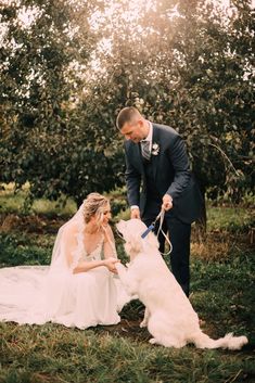 a bride and groom are petting their dog outside in the grass with an apple tree behind them