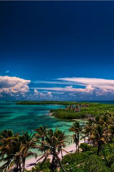 palm trees line the shore of an island with blue water and clouds in the background