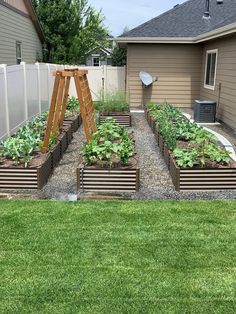 an outdoor garden area with various plants and vegetables in the center, along with a wooden trellis