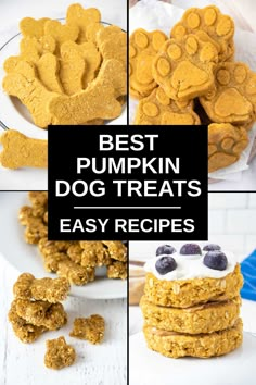 the best pumpkin dog treats are easy to make