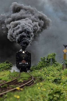 N Scale Train Layout, Nature Portraits, Model Train Sets