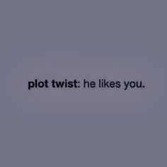 the words plot twist he likes you on a gray background