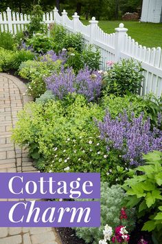 Cottage garden border along a white picket fence English Perennial Garden, Maine Flower Garden, Full Sun Cottage Garden Perennials, Simple Cottage Landscaping, Cottage Garden In Florida, English Front Garden Ideas, Coastal Cottage Garden Ideas, Cottage Backyard Landscaping, English Gardens Front Yard