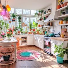 a kitchen filled with lots of potted plants