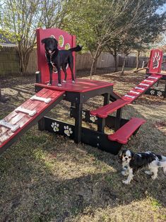 a black dog standing on top of a red chair next to a white and black dog