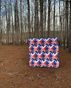 a pink and blue quilt sitting on the ground in front of some trees with no leaves