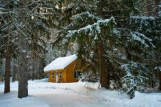 a cabin in the woods is surrounded by snow covered trees and evergreens, with a little bit of snow on the roof