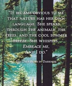 Earth Quotes, Deer Running, Native American Wisdom, Nature Hikes, Good Morning Inspirational Quotes, Morning Inspirational Quotes, Real Life Quotes