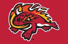 the logo of the university of southern michigan football team on a red background with flames