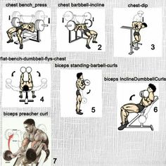 the chest and biceps workout chart shows how to do dumbbell exercises for back