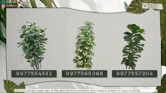 four different types of plants on a white wall with green leaves and numbers in the bottom right corner