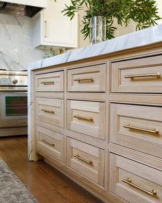 a kitchen with wooden cabinets and marble counter tops, an oven in the back ground and a potted plant on top