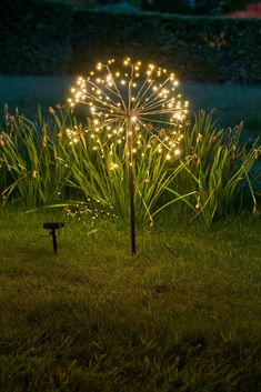 a lit up dandelion sitting in the grass