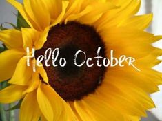 a sunflower with the words hello october written on it