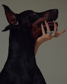 a woman holding her dog's hand up to its face