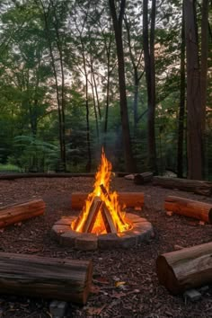 a fire pit surrounded by logs in the woods