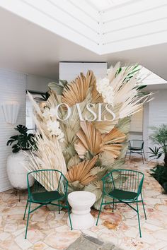 a room with chairs and plants in it