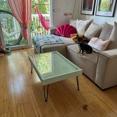 a small dog sitting on top of a couch in a living room next to a window