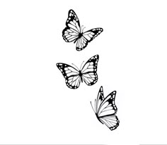 three black and white butterflies flying in the sky