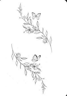 some flowers and butterflies on a white background