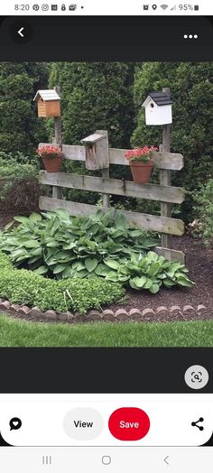 an instagram photo of some flowers and plants in a garden with the caption'view save '