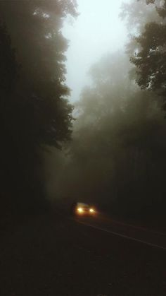 a car driving down a foggy road in the woods