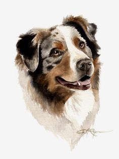 a watercolor painting of a brown and white dog