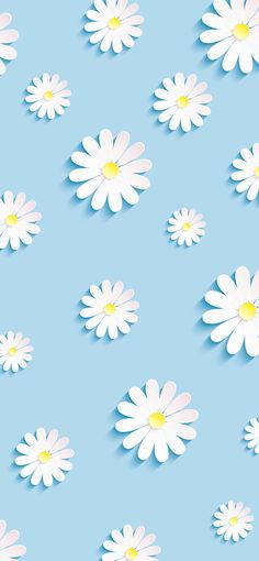 white daisies on a blue background with yellow center in the middle and bottom half