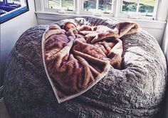 a bean bag chair with a blanket on it in front of a window and some windows